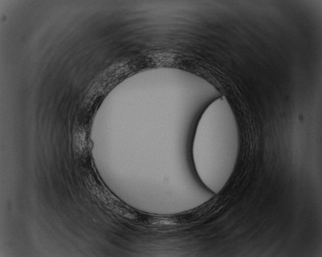 X0000051860610200507012342