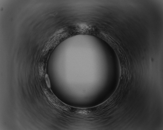 X0000051860611200507012342