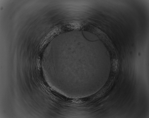 X0000051860612200507012342