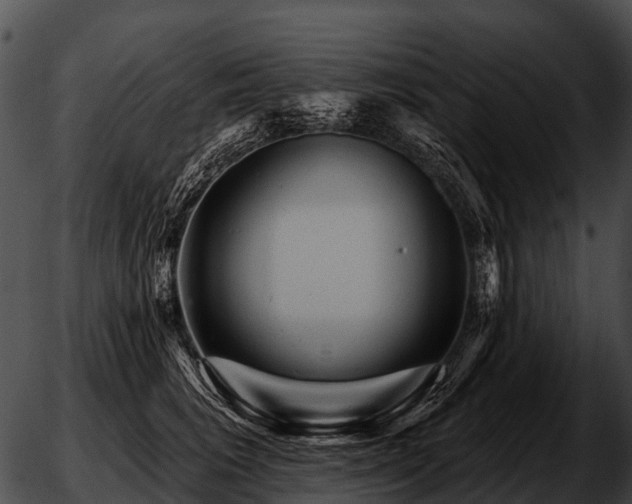 X0000051860613200507012342