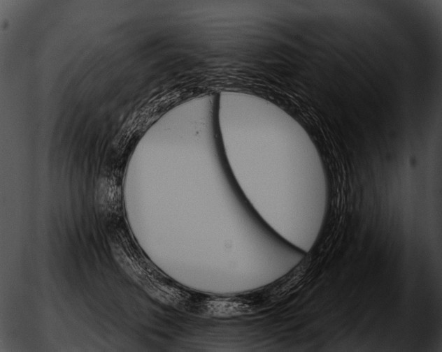 X0000051860614200507012342