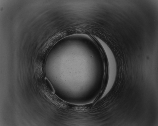 X0000051860615200507012342