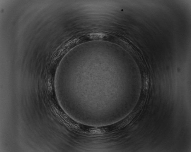 X0000051860616200507012342