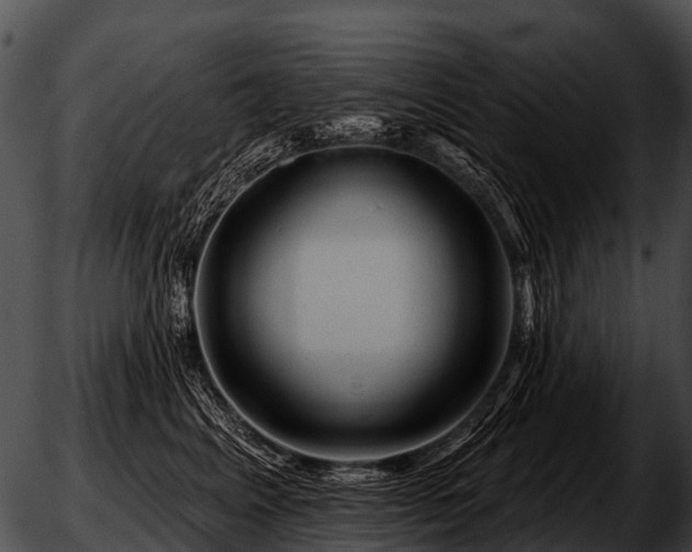 X0000051860617200507012342