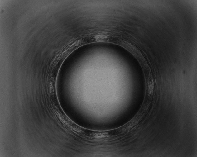 X0000051860618200507012342