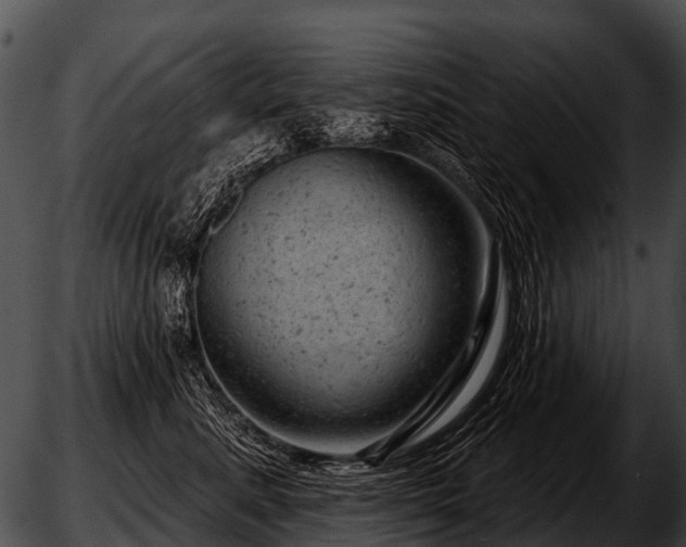 X0000051860619200507012342