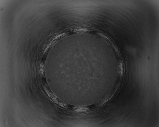 X0000051860621200507012342