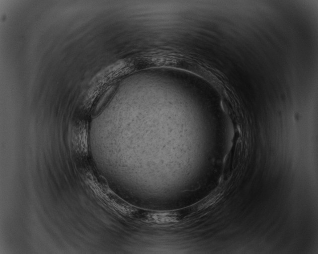 X0000051860622200507012342