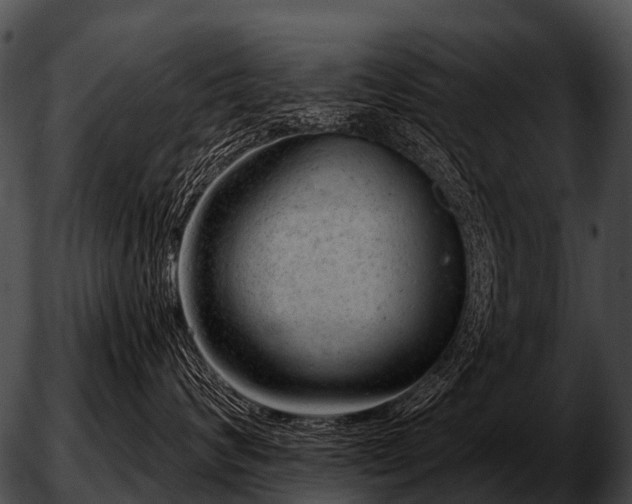 X0000051860624200507012342