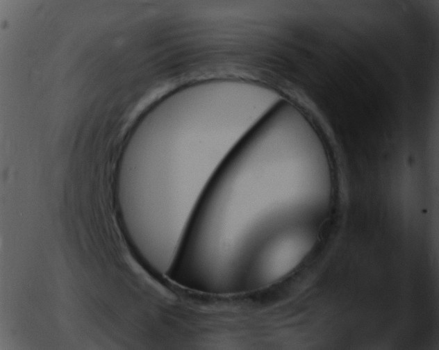 X0000051860625200507012341