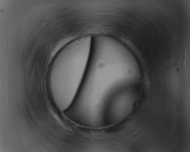 X0000051860626200507012341