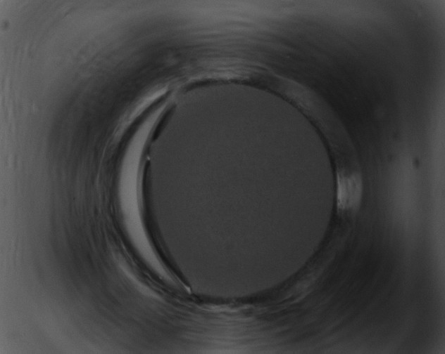 X0000051860627200507012341