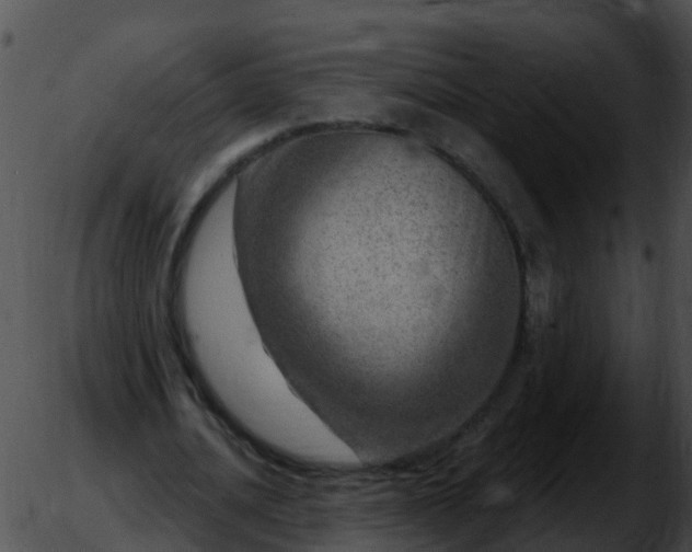 X0000051860628200507012341