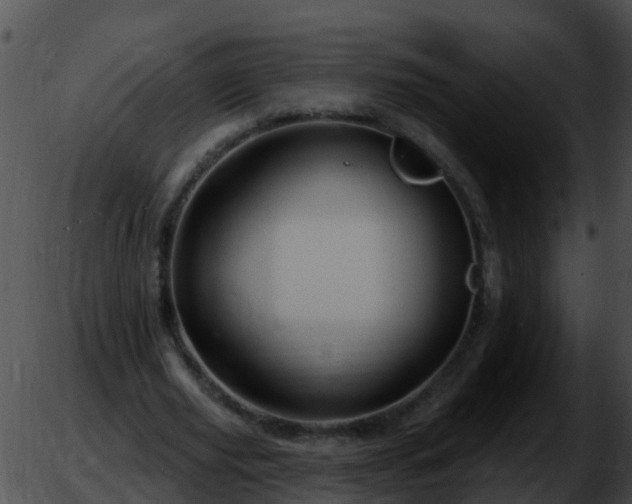 X0000051860629200507012341