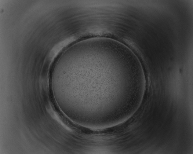 X0000051860630200507012341