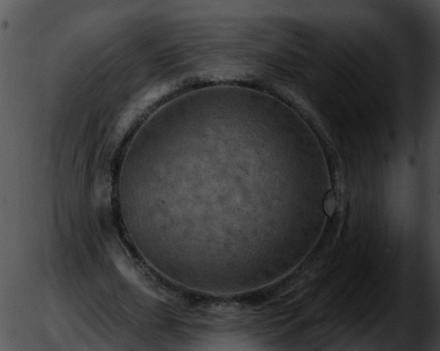 X0000051860631200507012341