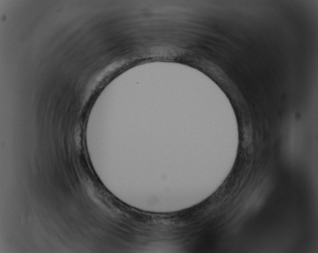 X0000051860632200507012341