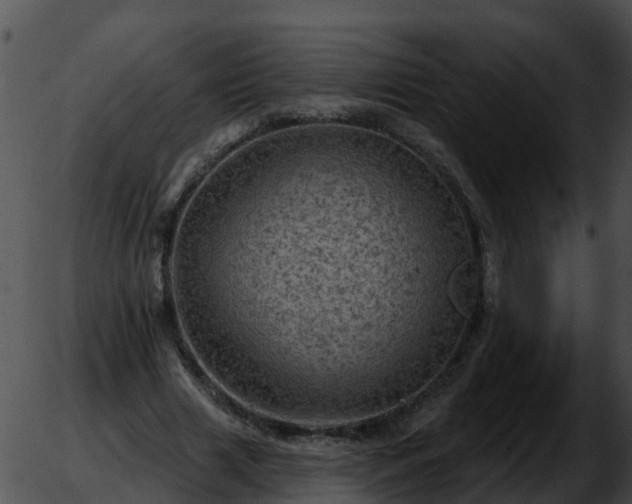 X0000051860633200507012341