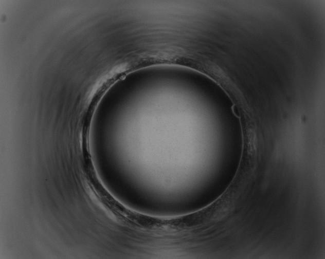 X0000051860634200507012341