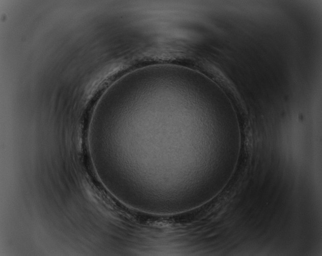 X0000051860635200507012341