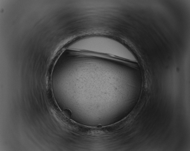 X0000051860636200507012341