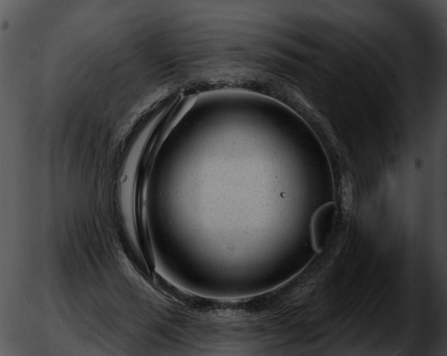 X0000051860637200507012341