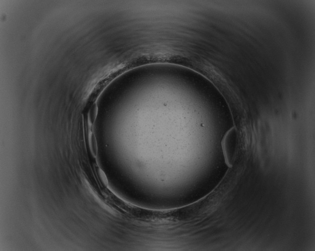 X0000051860638200507012341