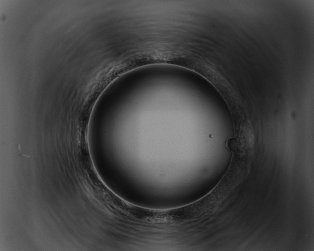 X0000051860639200507012341