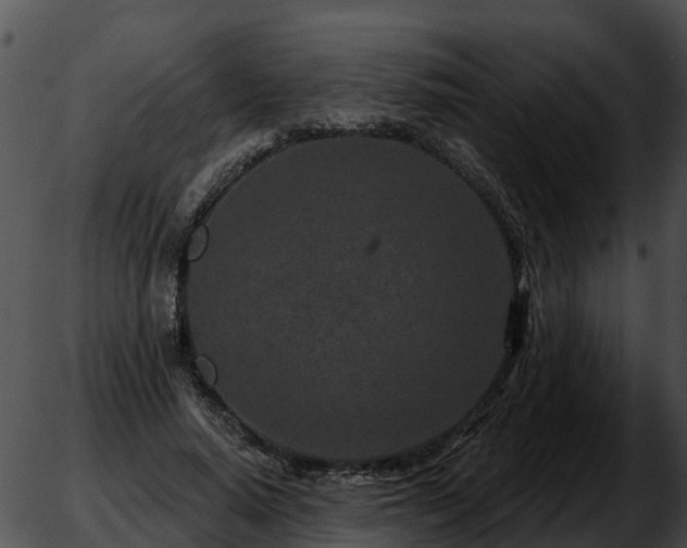 X0000051860640200507012341