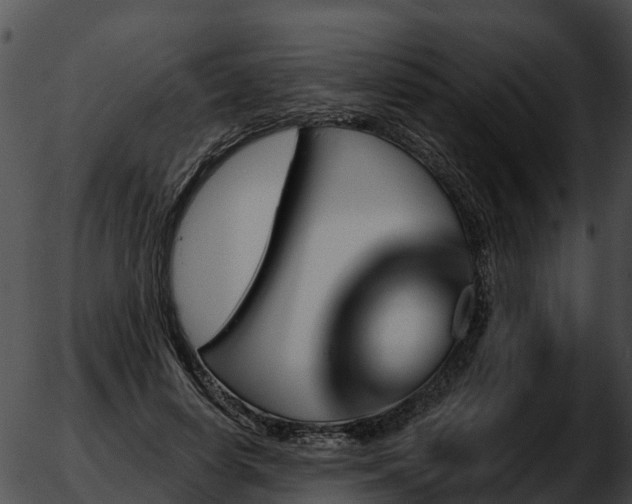 X0000051860642200507012341