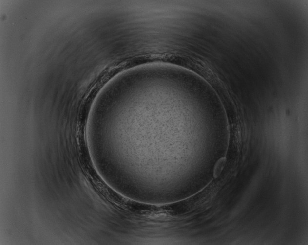 X0000051860643200507012341