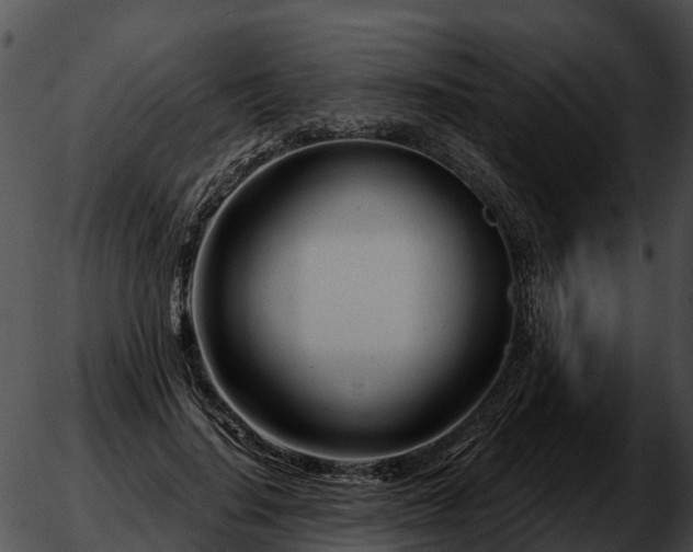 X0000051860644200507012341