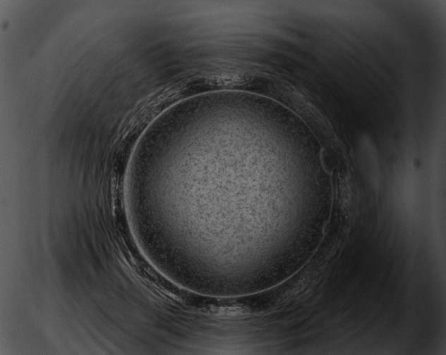 X0000051860645200507012341