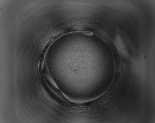 X0000051860646200507012341