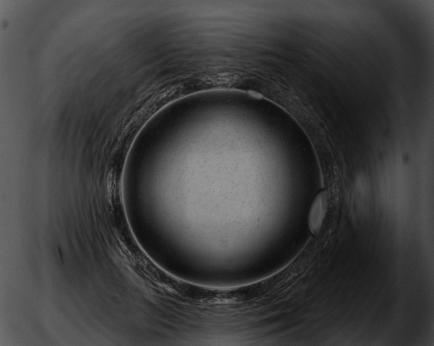 X0000051860647200507012341