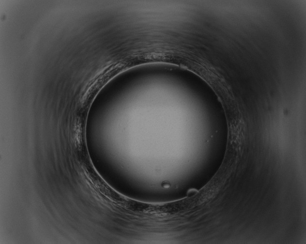 X0000051860648200507012341