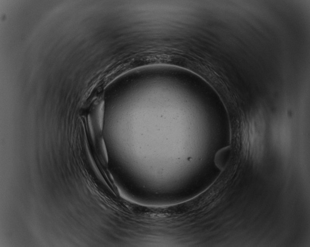 X0000051860649200507012341