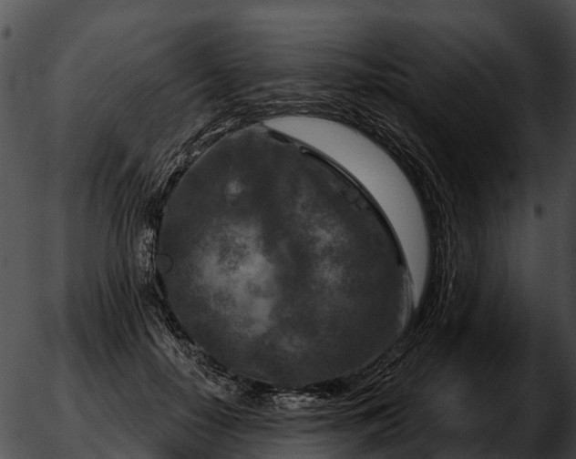 X0000051860650200507012342