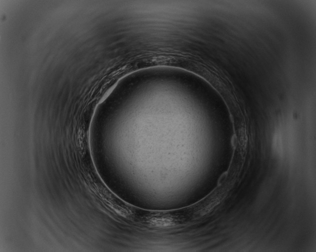 X0000051860653200507012342