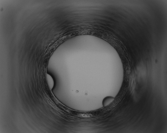 X0000051860654200507012342