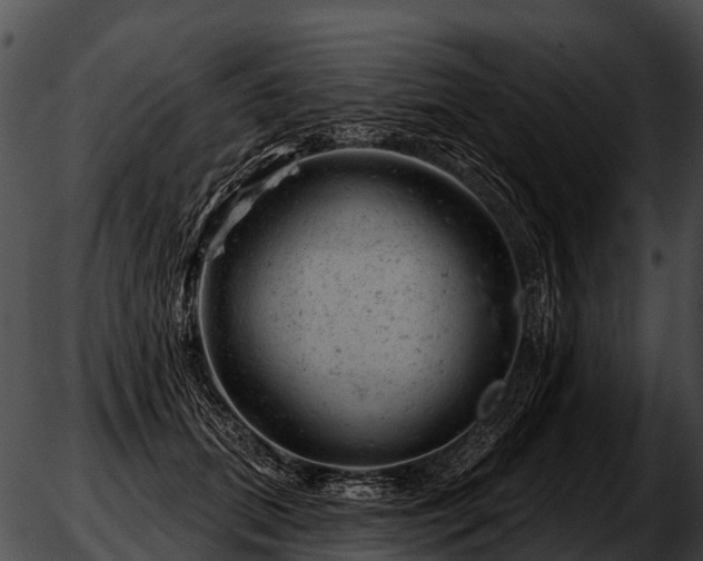 X0000051860655200507012342