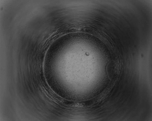 X0000051860656200507012342