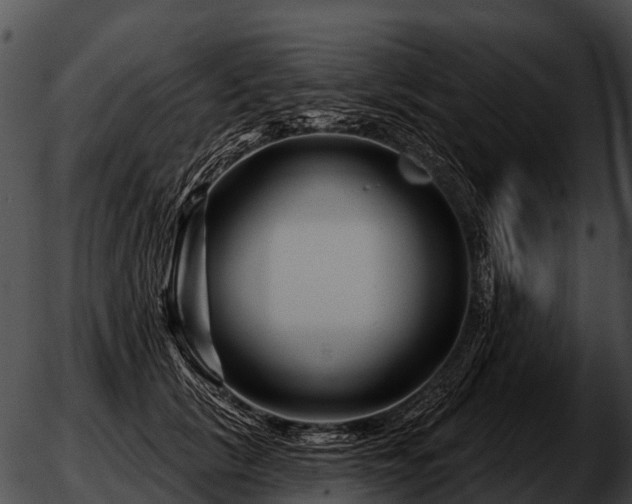 X0000051860657200507012342