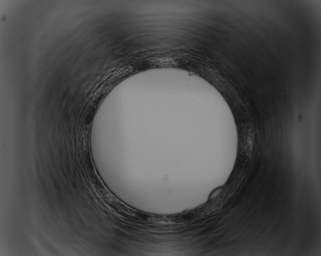 X0000051860658200507012342