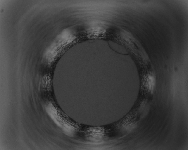 X0000051860659200507012342