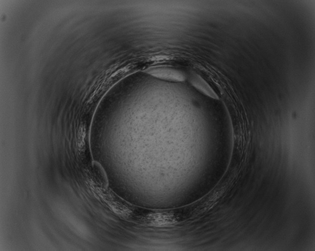 X0000051860660200507012342