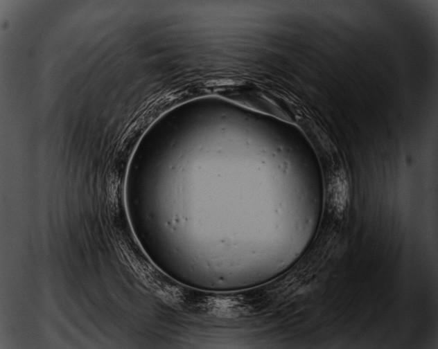 X0000051860662200507012342