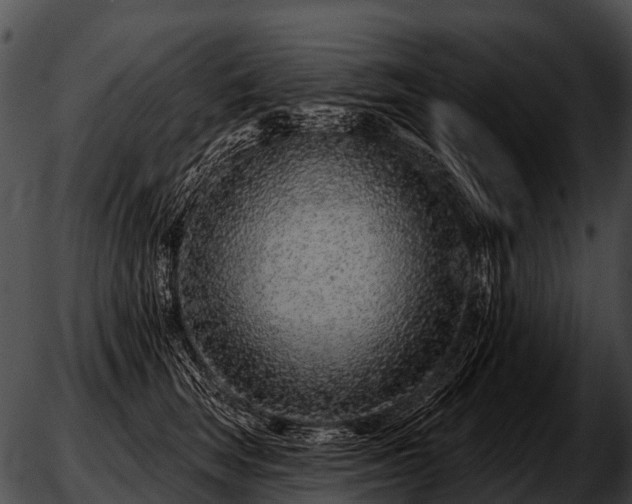 X0000051860663200507012342