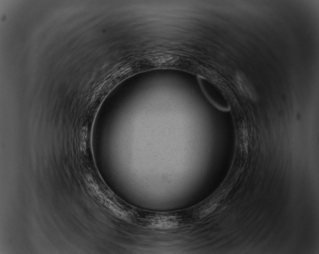 X0000051860664200507012342