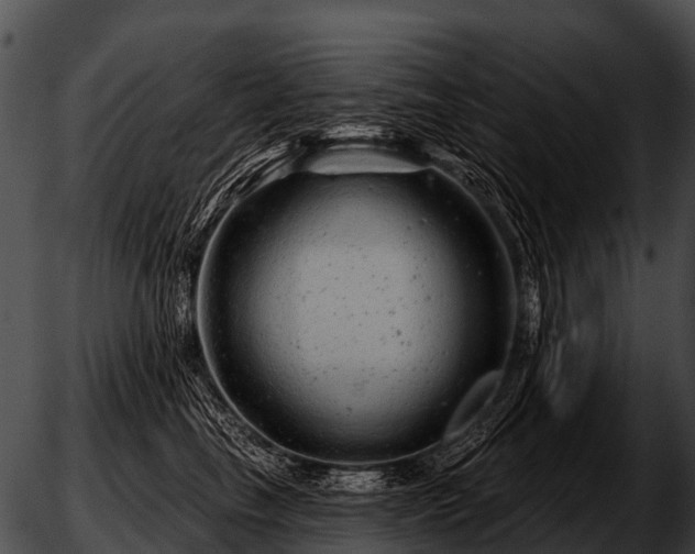 X0000051860665200507012342